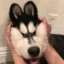 炸弹大王  认真 自信