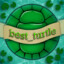 best_turtle