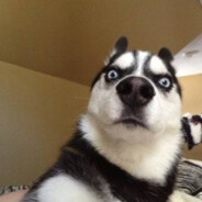 Rixatkatuwedikekaysar.