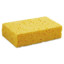 Sponge