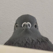 кара небесная