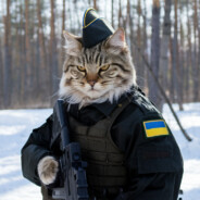 El gato - steam id 76561198254040069