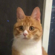 如意如意按我心意快快显灵