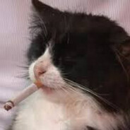 kurt