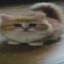 Смакота