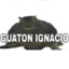 GUATON IGNACIO