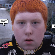 Linnus Donk