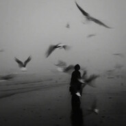 翻斗花园离人美