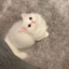 蔡徐坤