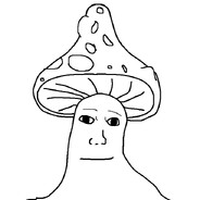 MushroomTim