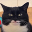 Chupepe 2