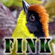 FINK