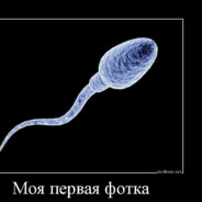 СПЕРМОТОЗОЙД