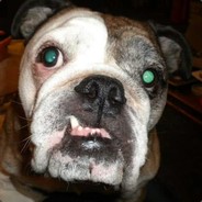 CooterTooter - steam id 76561197960949982