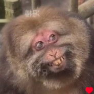 Avatar БИБИЗЬЯН