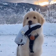 谋志成材新青年宝宝