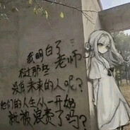 红薯皮233