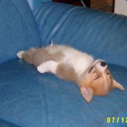 St|ck - steam id 76561197964984976