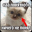 Prongro