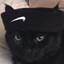 drogi