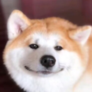 我也不知道起什么名字