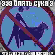 Аватар Sun