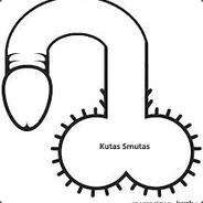 Duzy Kutas