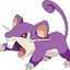 Rattata