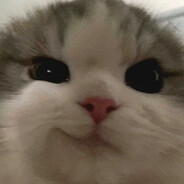 ๋