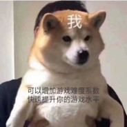 快乐狗子