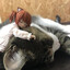 kageyoshi