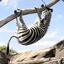 Hangin&#039; Zebra