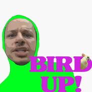 Bird Up