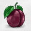 Mr.plum