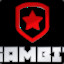 TeamGambit