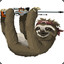 Slutty Sloth
