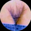 Chey_to_ded