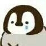 做一只在北极的企鹅