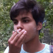 pos0s1palez