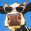 Da Cool Cow