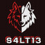 S4Lt13_TTV
