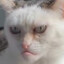 Integer
