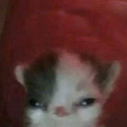 виктор дудка