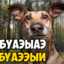 ВАХЯПИДОР