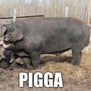 PIGGA