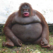 fatgay pewdiepie