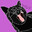 DaBarkingCat