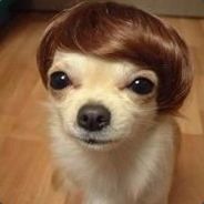 big dusty - steam id 76561197969096206