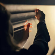 瓦达西瓦-敲李蛙