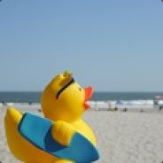 Beach Duck
